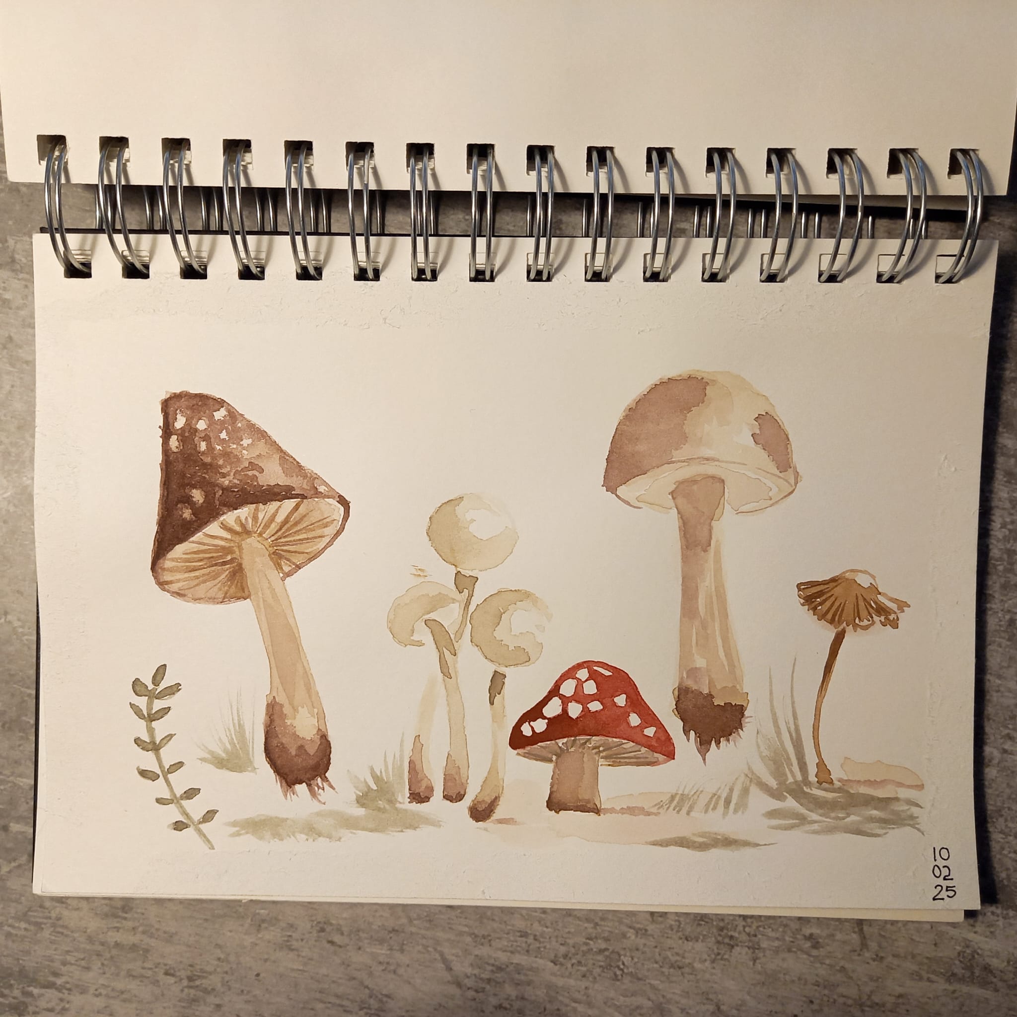 Mushrooms 1